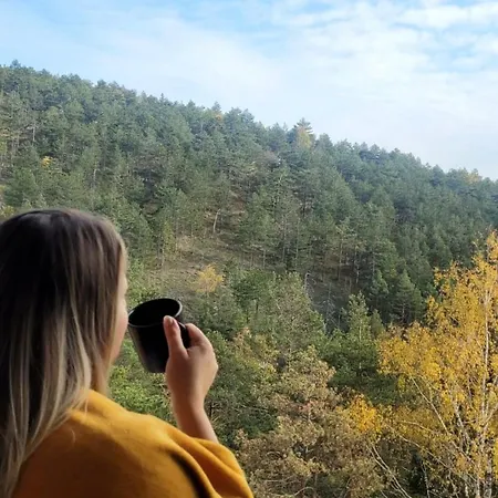 Merdzan Apartment Divcibare