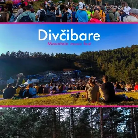 Divchy Dream
